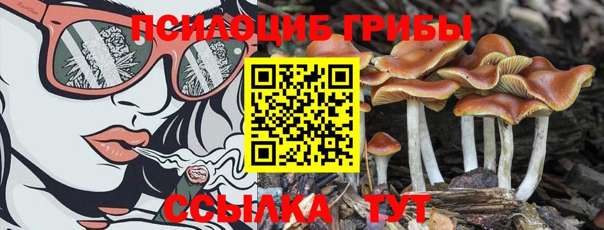 Галлюциногенные грибы мицелий Лыткарино