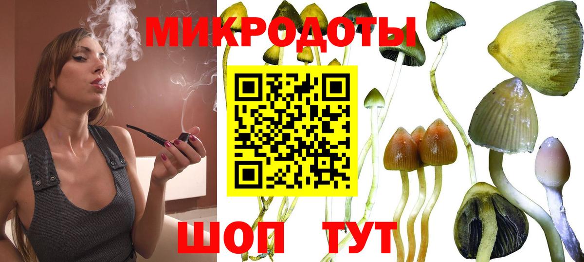 Псилоцибиновые грибы мицелий  Вход с VPN  Псилоцибиновые грибы Magic Shrooms  Лыткарино 